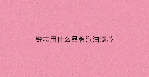 锐志用什么品牌汽油滤芯(锐志用什么品牌汽油滤芯比较好)