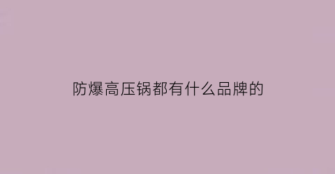 防爆高压锅都有什么品牌的(防爆高压锅都有什么品牌的好)