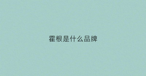 霍根是什么品牌(霍根女鞋是什么档次)