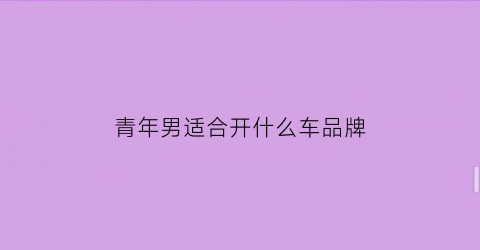 青年男适合开什么车品牌(青年人开什么车好看)