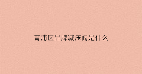 青浦区品牌减压阀是什么(减压阀品牌排行榜)