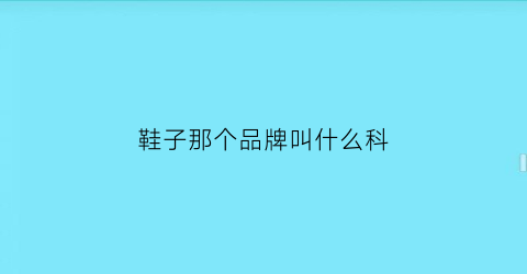 鞋子那个品牌叫什么科(鞋子的牌子有哪些)