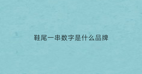 鞋尾一串数字是什么品牌(鞋子后面的数字是什么意思)
