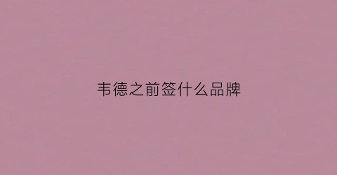 韦德之前签什么品牌