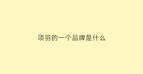 项羽的一个品牌是什么(项羽是什么公司)