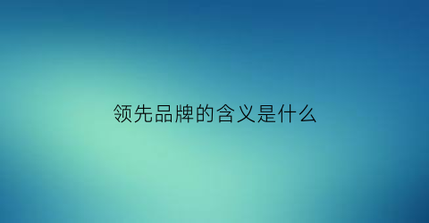 领先品牌的含义是什么(领先品牌是什么意思)