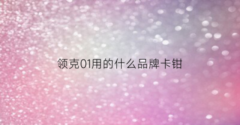 领克01用的什么品牌卡钳(领克01用的什么品牌卡钳啊)