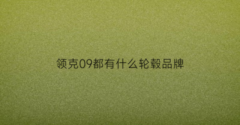 领克09都有什么轮毂品牌(领克09都有什么轮毂品牌的)