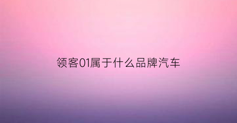 领客01属于什么品牌汽车