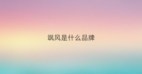 飒风是什么品牌(飒飒的风格是什么意思)