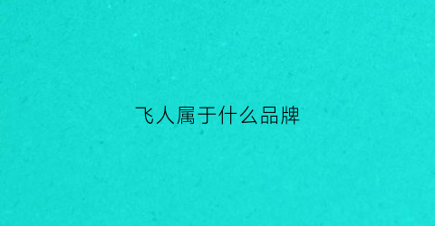 飞人属于什么品牌(飞人系列)