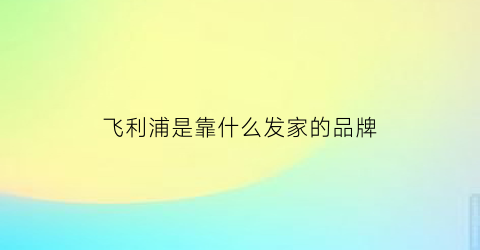 飞利浦是靠什么发家的品牌(飞利浦以什么出名)