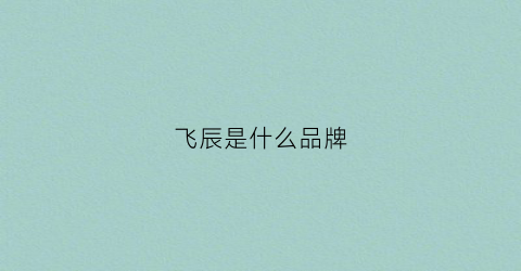 飞辰是什么品牌(飞辰汽配有限公司)