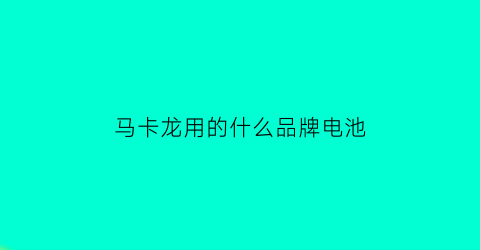 马卡龙用的什么品牌电池