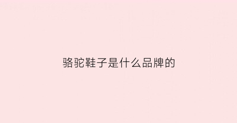 骆驼鞋子是什么品牌的(骆驼鞋是什么档次的)