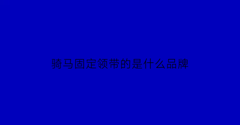 骑马固定领带的是什么品牌(骑马着装)