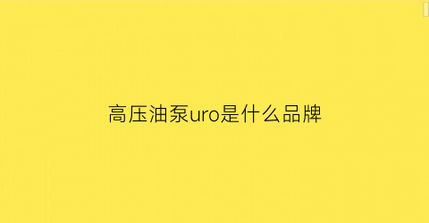 高压油泵uro是什么品牌(autotech高压油泵芯)