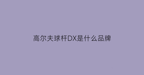 高尔夫球杆DX是什么品牌(高尔夫球杆简称)