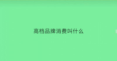 高档品牌消费叫什么(高档品牌消费叫什么名字)