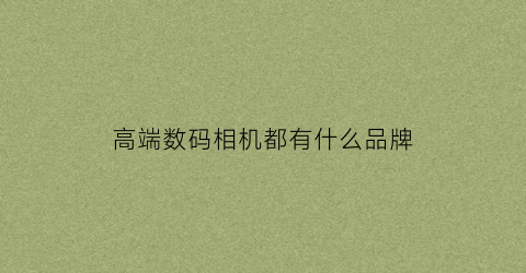 高端数码相机都有什么品牌(高端数码相机可以选择什么模式)
