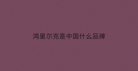 鸿星尔克是中国什么品牌