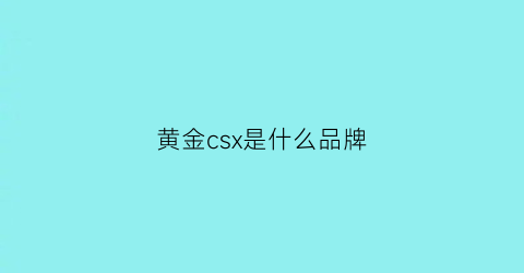 黄金csx是什么品牌