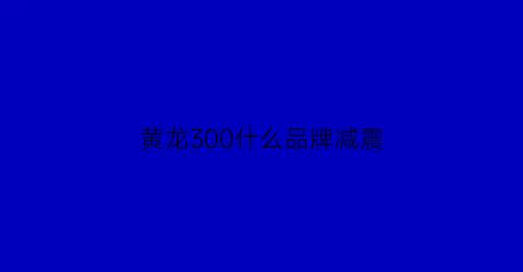 黄龙300什么品牌减震(黄龙300前减震结构图)