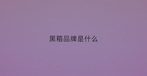 黑箱品牌是什么