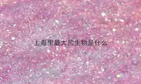 上海里最大的生物是什么(上海最大的动物)