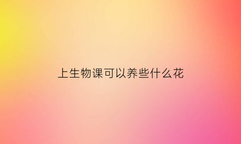 上生物课可以养些什么花