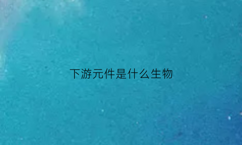 下游元件是什么生物(下游什么意思)