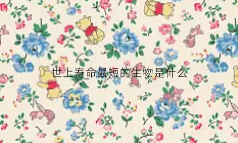 世上寿命最短的生物是什么(世上寿命最短的生物是什么)