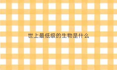 世上最低级的生物是什么(最低级的动物是什么动物)