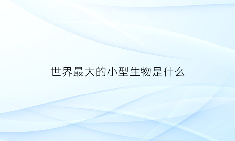 世界最大的小型生物是什么(世界最大的小型生物是什么动物)