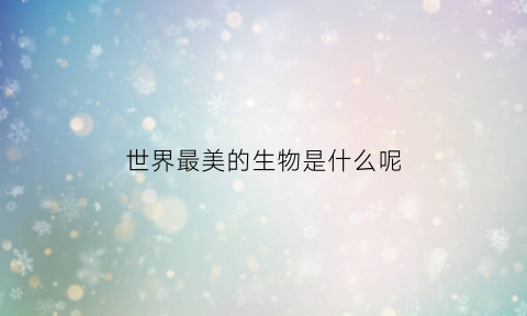 世界最美的生物是什么呢(世界最美的生物是什么呢视频)