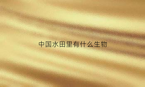 中国水田里有什么生物(水田里有什么植物)