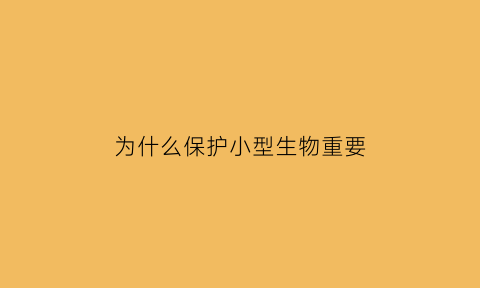 为什么保护小型生物重要(为什么保护小型生物重要呢)