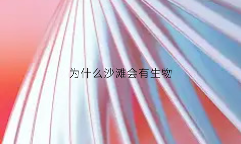 为什么沙滩会有生物(为什么沙滩会有生物现象)