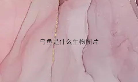 乌鱼是什么生物图片(乌鱼是什么鱼种)