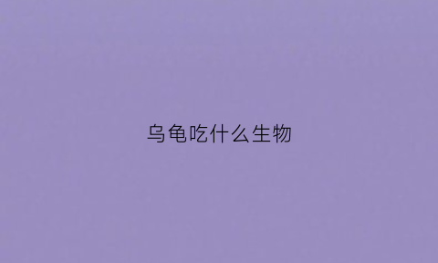 乌龟吃什么生物(乌龟吃什么东西生存)