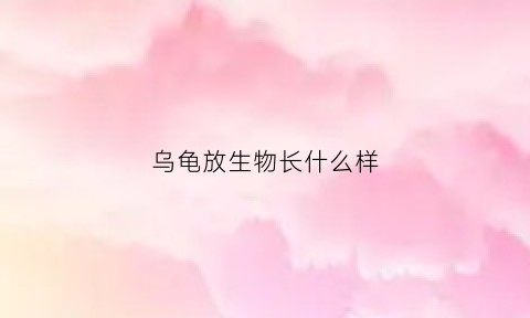 乌龟放生物长什么样(乌龟放生好不)