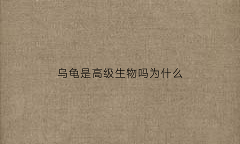 乌龟是高级生物吗为什么(乌龟是高等动物吗)