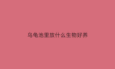 乌龟池里放什么生物好养(乌龟池里放什么生物好养些)