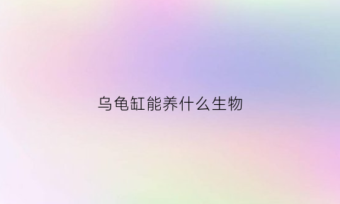 乌龟缸能养什么生物(乌龟缸可以养什么植物)