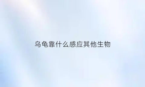 乌龟靠什么感应其他生物(乌龟靠什么感应其他生物的生长)