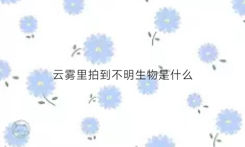 云雾里拍到不明生物是什么(云雾为什么是白色的)