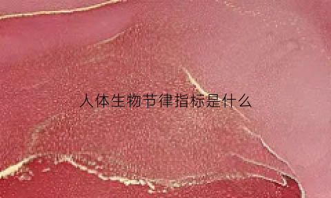 人体生物节律指标是什么(人体生物节律有科学依据吗)