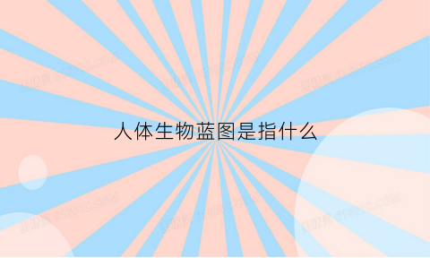 人体生物蓝图是指什么(人体生物构造图)