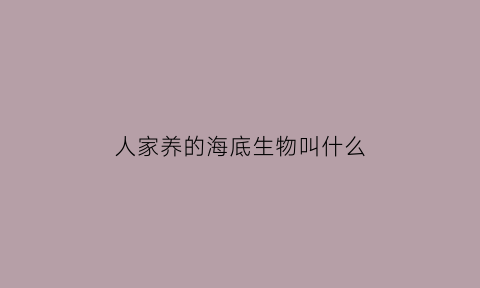 人家养的海底生物叫什么(人家养的海底生物叫什么名字)