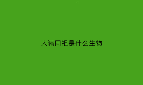 人猿同祖是什么生物